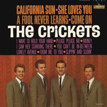 The Crickets: California Sun - She Loves You