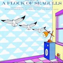 A Flock Of Seagulls: Space Age Love Song