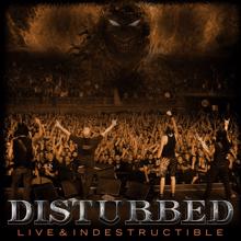 Disturbed: Live And Indestructible