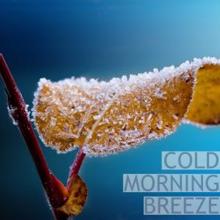 Nature Sounds: Cold Morning Breeze