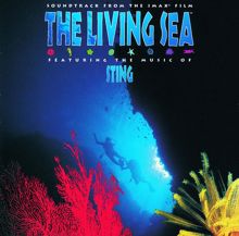 Sting: The Living Sea