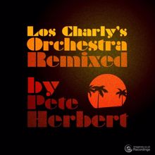 Los Charly's Orchestra: Disco Gamma