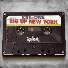 KRS-One: Big Up New York