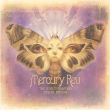 Mercury Rev: Secret For A Song (Snippet)