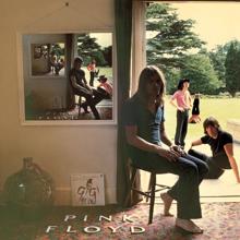Pink Floyd: The Grand Vizier's Garden Party (Exit) [2011 - Remaster]