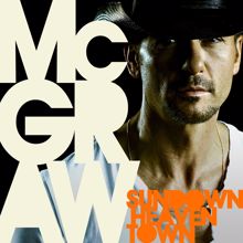 Tim McGraw: Diamond Rings And Old Barstools