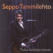 Seppo Tammilehto: Kahdet eksyneet askeleet