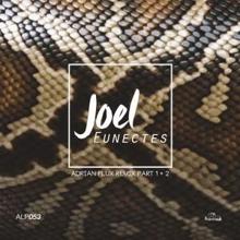 Joel: Eunectes (Adrian Flux Remix, Pt. 1 & 2)