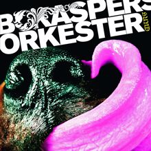 Bo Kaspers Orkester: Den enda som ser