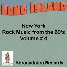 Various Artists: Long Island NY Rock Music of the 60's, Vol. 4