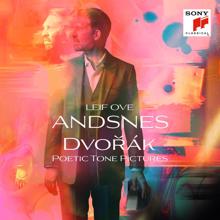 Leif Ove Andsnes: XIII. On the Holy Mountain