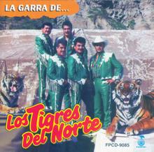 Los Tigres Del Norte: La Segunda Carta (Album Version)