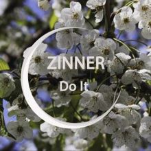 Zinner: Do It (Radio Edit)