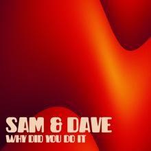 Sam & Dave: Why Did You Do It