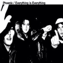 Phoenix: Everything Is Everything