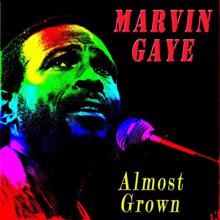 Marvin Gaye: I'm Afraid the Masquerade Is Over