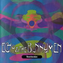 Echo And The Bunnymen: Reverberation