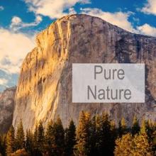 Nature Sounds: Pure Nature