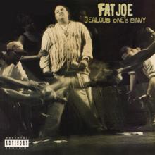 Fat Joe: Success