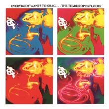 The Teardrop Explodes: Everybody Wants To Shag... The Teardrop Explodes