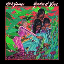 Rick James: Don't Give Up On Love