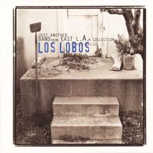 Los Lobos: Saint Behind the Glass