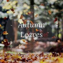 Yoga Tribe: Autumn Leaves