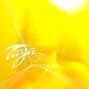 Tarja Turunen: Into the Sun (Radio Edit)