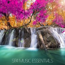 Various Artists: Spa Music Essentials