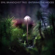 Emil Brandqvist Trio: Entering the Woods
