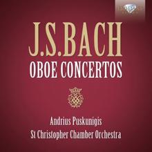 St. Christopher Chamber Orchestra, Donatas Katkus & Andrius Puskunigis: Oboe Concerto in F Major, BWV 1053: II. Siciliano