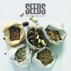 The Sahib Shihab Quintet: Seeds