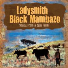 Ladysmith Black Mambazo: Ntulube  (Away, You River Snakes)