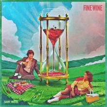 Saint Motel: Fine Wine