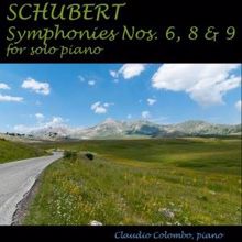 Claudio Colombo: Symphony No. 8 in B Minor, D. 759: I. Allegro moderato (Arranged for Solo Piano by Jan Brandts Buys)
