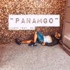 JFLEXX: Panamgo (feat. nik)