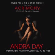 Andra Day: I Wish I Knew How It Would Feel to Be Free (From Tyler Perry's "Acrimony")