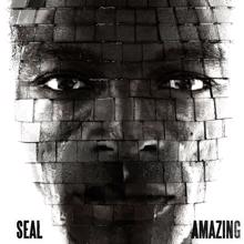 Seal: Amazing (Int'l Maxi)