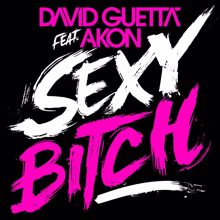 David Guetta: Sexy Bitch
