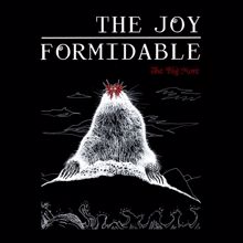 The Joy Formidable: It's Over