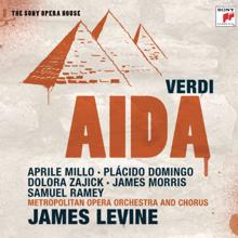 Plácido Domingo;Metropolitan Opera Orchestra;Samuel Ramey;Aprile Millo;James Levine;Dolora Zajick;James Morris: Scena e duetto: Fu la sorte