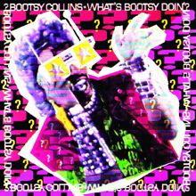 Bootsy Collins: Love Song (Album Version)