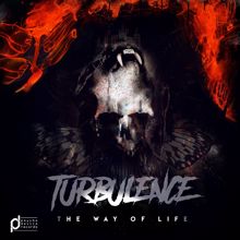 Turbulence: The Way of Life