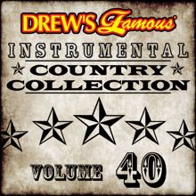 The Hit Crew: Drew's Famous Instrumental Country Collection (Vol. 40)