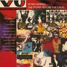 Peter Hammill: The Storm - Before The Calm