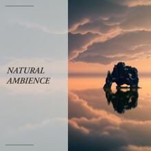 Nature Sounds: Natural Ambience