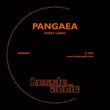 Pangaea: Fuzzy Logic