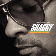 Shaggy: The Best Of Shaggy