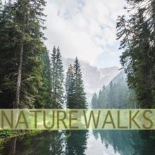 Nature Sounds: Nature Walks
