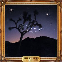 The Killers, Ryan Pardey: I Feel It In My Bones
